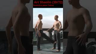 Exercice pour laine 3972 art shaolin [upl. by Angid]