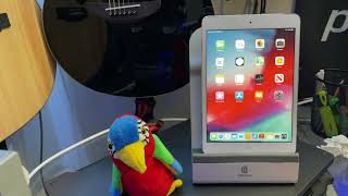 Apple iPad Mini 2 Review and is it still good in 2023 [upl. by Hayimas749]