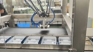 Automatic Tray Loading System by Delta Robot with Vision System [upl. by Llenna306]