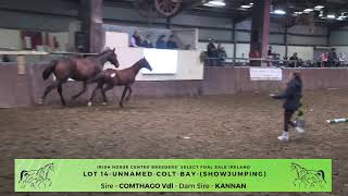 mayo roscommon breeders group Live Stream [upl. by Tristram287]