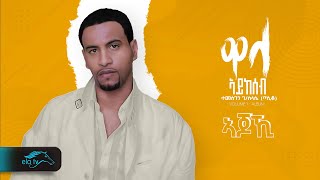 Temesgen Gebreselassie  Taniqo  Ajoki  ኣጆኺ Eritrean Music   Official Audio   Men eki men [upl. by Sallee443]