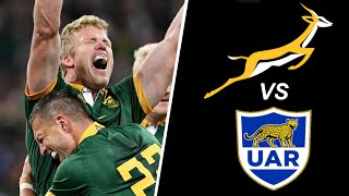 SPRINGBOKS WIN THE RUGBY CHAMPIONSHIP South Africa vs Argentina 2nd Test Review [upl. by Fisa]