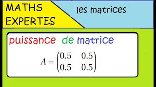 Terminale Maths Expertes Les matrices  exercice  puissance dune matrice [upl. by Flavian451]