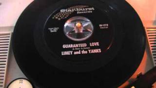 Limey and The Yanks  Guaranteed love 60S GARAGE FUZZ [upl. by Allemac]