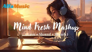 Soulful Love Mashup 2024  Slowed and Reverb Song 2024 [upl. by Rehpatsirhc]