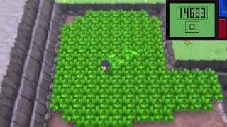 Pokémon Brilliant Diamond Shiny Larvitar at 17 chain [upl. by Nomzaj]