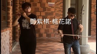 鄧紫棋  桃花諾 二胡＆笛子 cover by Hudi Music Studio [upl. by Bekha31]