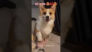 So love you😍😍😍lovesong love doglover lovesongscute tamil musiclove [upl. by Bibi]