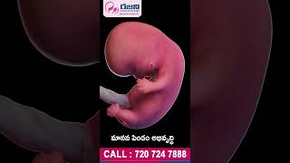 Incredible Fetal Development I Rajni Fertility Centre Karimnagar [upl. by Salome]