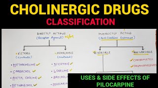 Autonomic Pharmacology  4  Cholinergic Drugs Classification  EOMS [upl. by Lectra690]