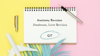 Duodenum Liver Revision [upl. by Strohben884]