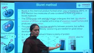 Enzyme assay part 3 Unit 2 Lecture 7 [upl. by Aynnek]