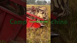 Campaign machine 👩‍🌾🥰 amazing paddy harvesting technology shortvideo [upl. by Sokram]