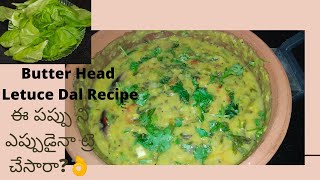 Butter Head Lettuce Dal  Lettuce pappu  Easy and simpe to prepare Lettuce dal  MTM [upl. by Apostles603]