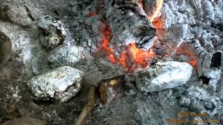 Campfire Cooking  Flathead Catfish Steak [upl. by Giulietta828]