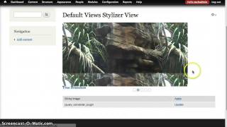 Drupal Views Stylizer How to use [upl. by Iphlgenia434]