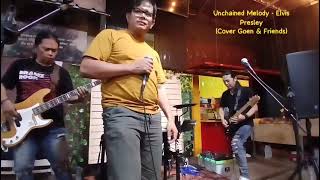 Unchained Melody  Elvis Presley Cover Goen amp Friends [upl. by Einnov311]