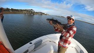 Deadsticking for redfish and catching big trout in Charleston SC [upl. by Mchugh]