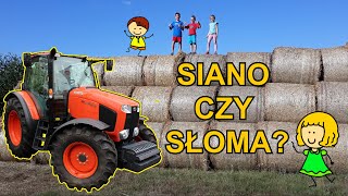 Czym się różni siano od słomy Film edukacyjny dla dzieci – lekcja po polsku [upl. by Yentyrb]