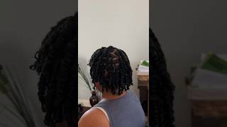 Double strand twist X flattwist💕 music flattwists naturalhair dayinmylife cosmetologist silk [upl. by Iives283]