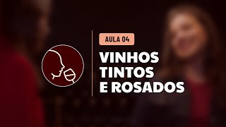 Aula 4  Vinhos Tintos e Rosés [upl. by Anonyw637]