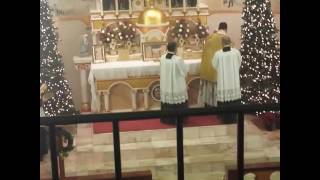 Incensing of the altar TLM [upl. by Browning]