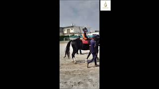 Equine therapy at Zamzam Autism Center [upl. by Edda]