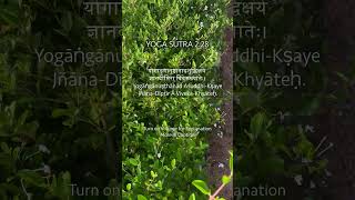 Yoga Sutra  Chapter 2 Verse 28 The Light of Wisdom Just Sudha Gyan [upl. by Christi]