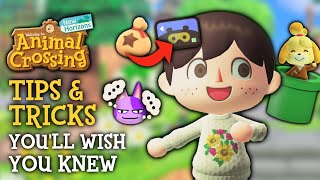 Tips amp Tricks I WISH I Knew Sooner in Animal Crossing New Horizons [upl. by Ernald]