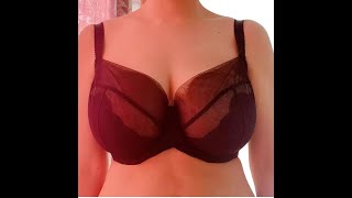 plus size full coverage bra [upl. by Adkins85]