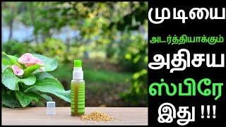 3 மடங்கு முடியை அடர்த்தியாக்கும் கருஞ்சீரகம் amp வெந்தைய HAIR GROWTH SPRAY இது [upl. by Oilut]