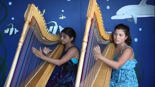 Luz Marina Harp Duo  Pájaro Campana [upl. by Ragen]