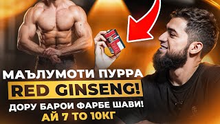 МАЪЛУМОТИ ПУРРА RED GINSENG  дору барои фарбе шави [upl. by Brynna]