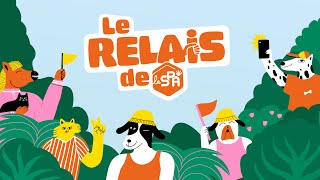 Le 18 mai 2025 prenez le relais de la SPA  🐾🏃 [upl. by Svensen]