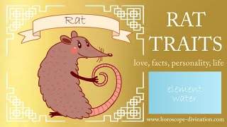 Chinese Zodiac Rat Personality ━ Rat Traits amp Feng Shui 鼠 [upl. by Ellenaj]