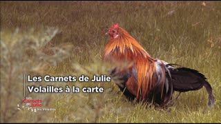 Les volailles à la carte  Les carnets de Julie [upl. by Ophelie]