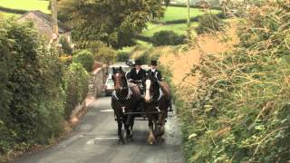 The Shire Horse in the 21st Century [upl. by Berners]