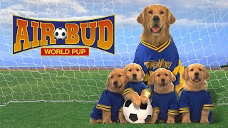 AIR BUD WORLD PUP Movie  Español Latino [upl. by Ahsinauq584]