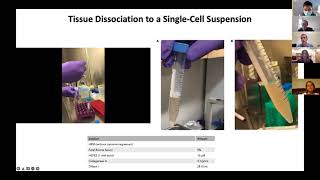 Evan Bordt Isolation of Microglia from Mouse or Human Tissue STAR Protocols 2020 [upl. by Ttihw]