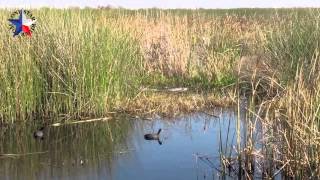 Brazoria National Wildlife Refuge Part 1 [upl. by Trina]