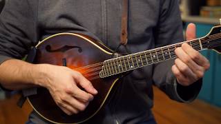 Beginner Mandolin Lessons Series Part Two First Chords [upl. by Robb]