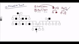 Pedigree analysis  autosomal recessive [upl. by Rramo]