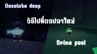 วิธีไปที่ตกปลาใหม่ Desolate deep และ Brine pool  Roblox Fisch 🤿 [upl. by Luzader158]