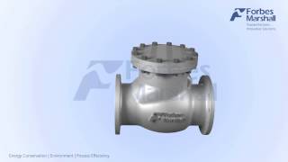 Forbes Marshall Swing Check Valve [upl. by Walker143]