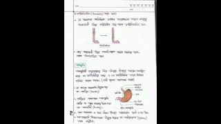 HSC Biology 2nd Paper Chapter3 পরিপাক ও শোষণ।part2 [upl. by Cacka]