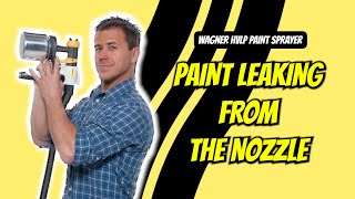 Paint Leaking From The Nozzle  Wagner HVLP Paint Sprayer  Problems amp Solutions [upl. by Zeph499]