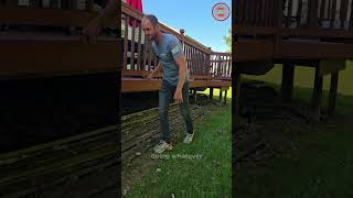 Complete Insect Control Program delawareohio landscaping lawncare [upl. by Loar141]