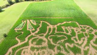 Maislabyrinth Luxembourg [upl. by Aicirtap954]