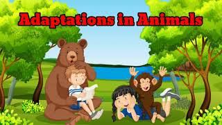 Adaptations in Animals Class 4 Science [upl. by Allimac512]