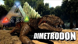 Taming A Dimetrodon  Ark Survival Evolved  The Island [upl. by Rochelle116]